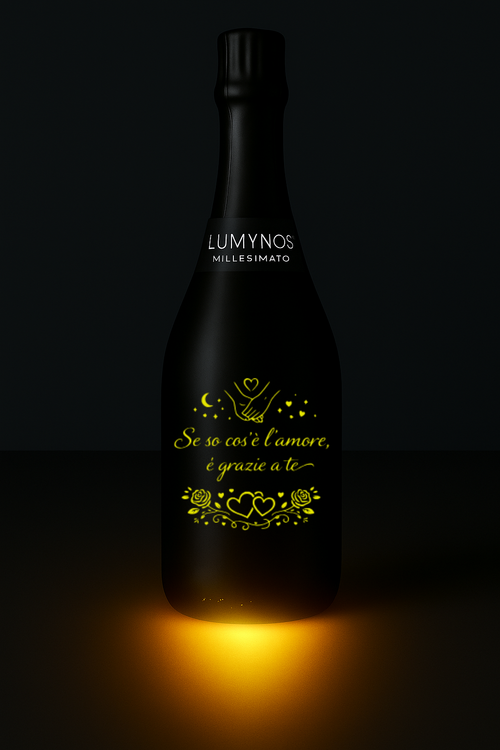 "Se so cos'è l'amore, è grazie a te"